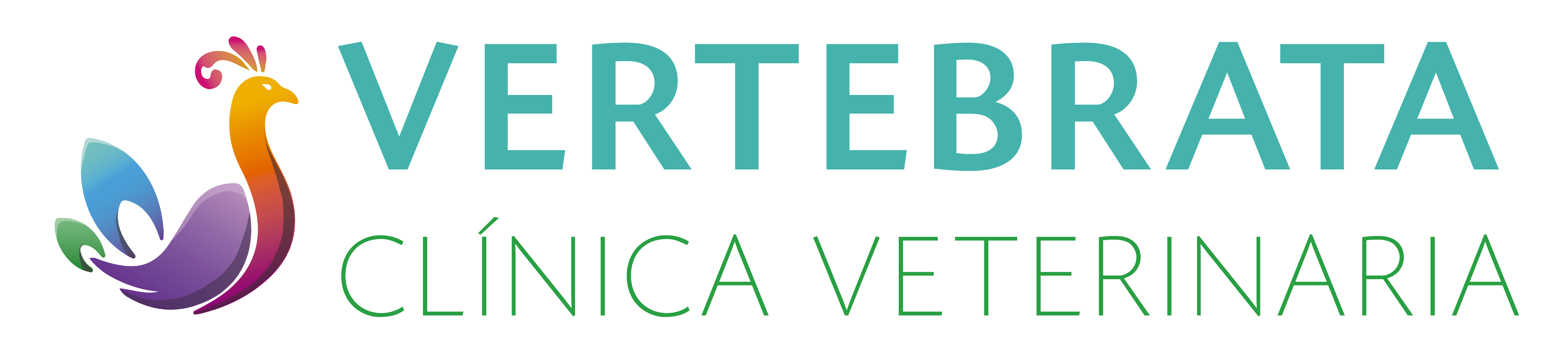 vertebratavet.com